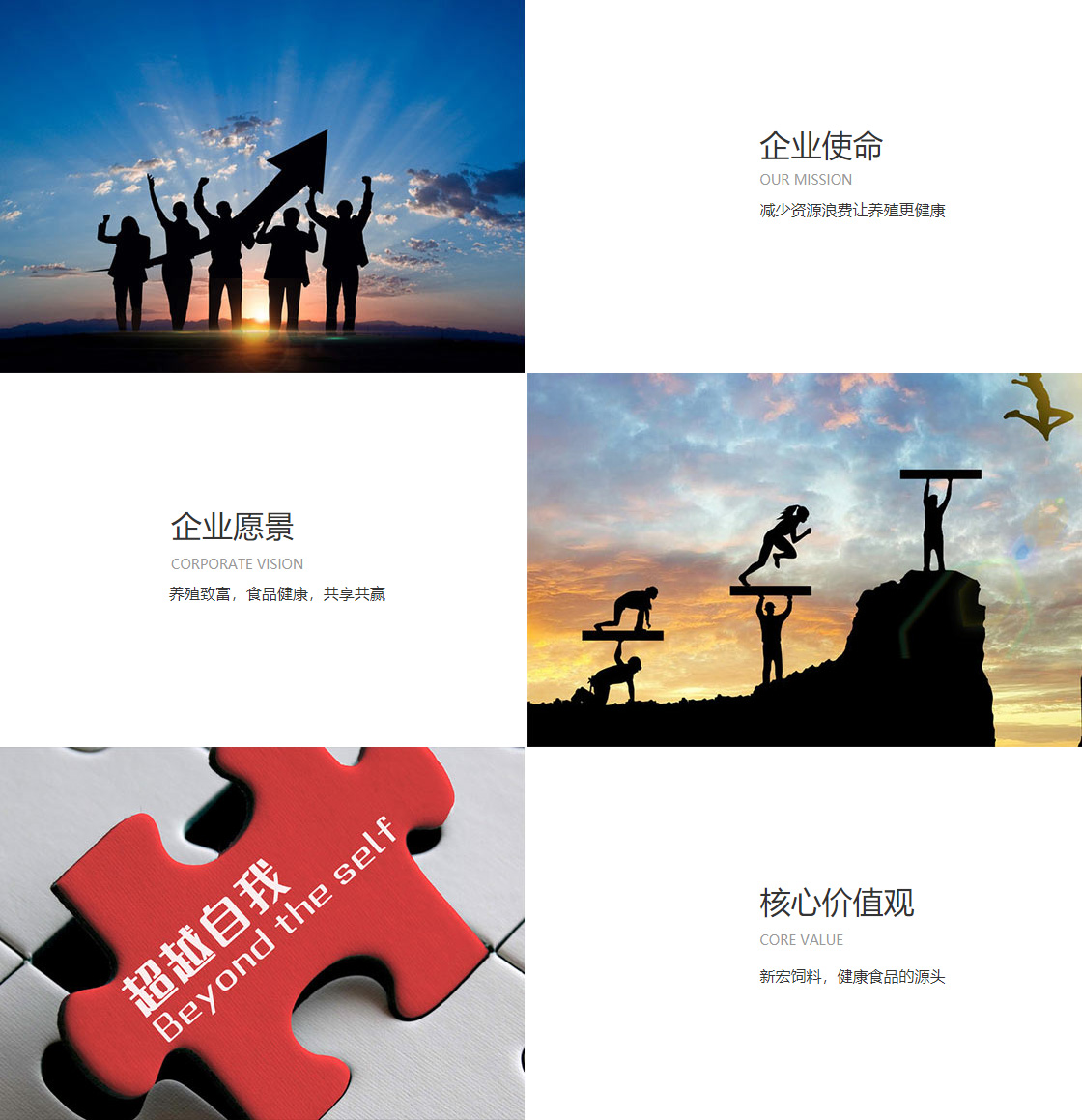 开云手机web版登录入口(图1)